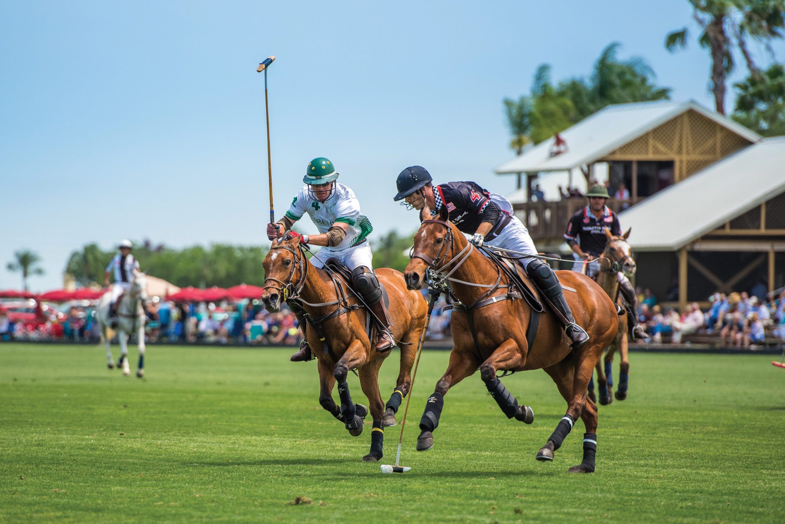 You are currently viewing Polo và Giới Thượng Lưu: Một Cái Nhìn Sâu Sắc Về Môn Thể Thao Của Những Người Quyền Quý